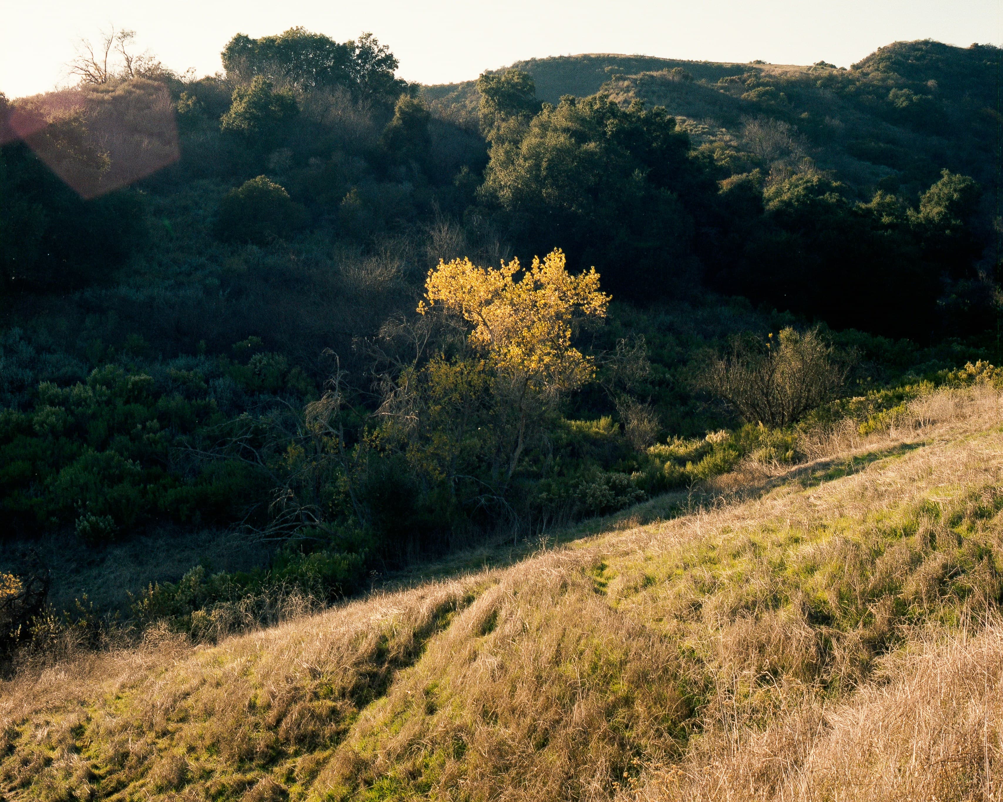 Franklin Canyon: LA's Hidden Wilderness (And the Andy Griffith Fishing Hole)