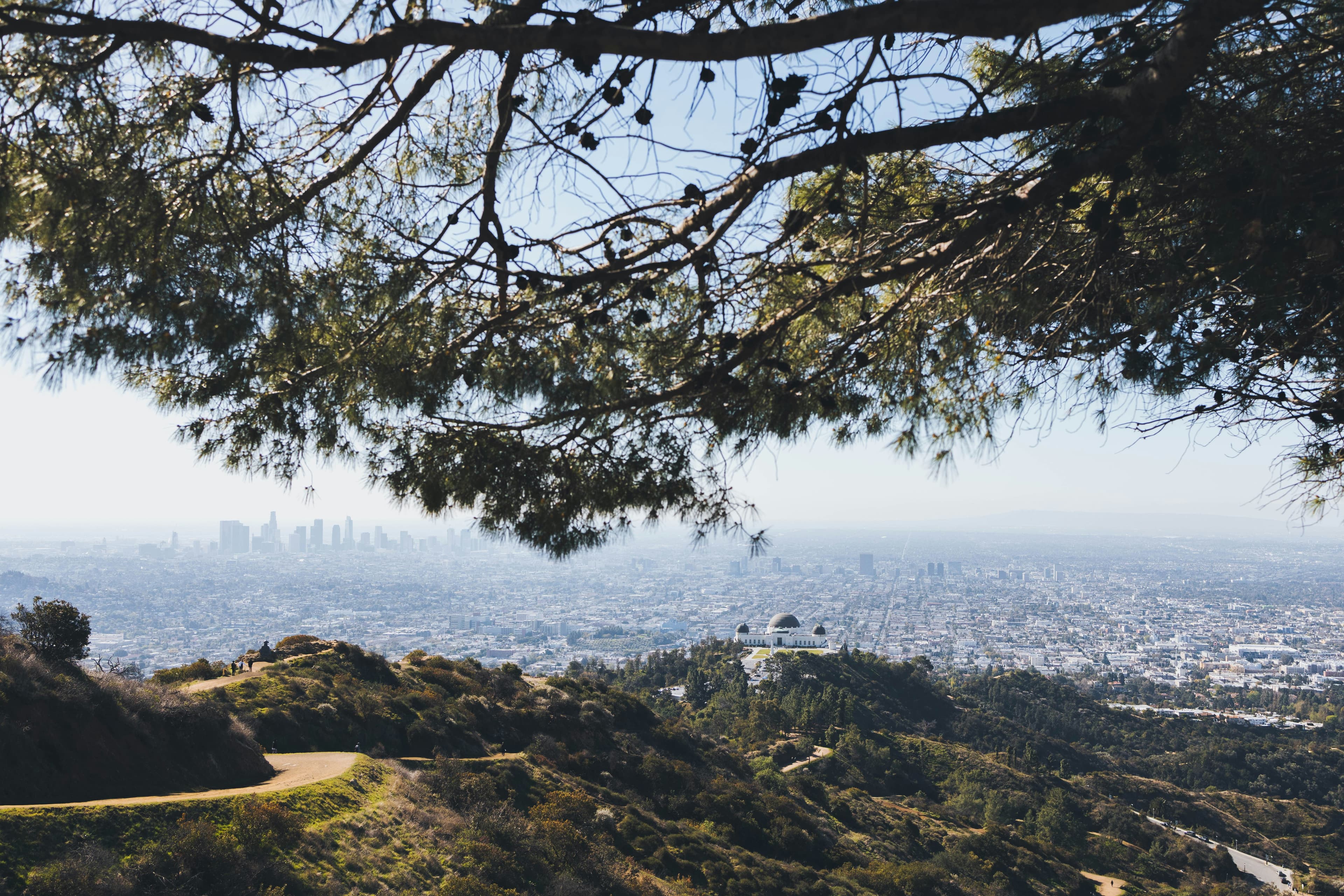 Griffith Park, Hollywood Sign & Observatory: The Complete Guide