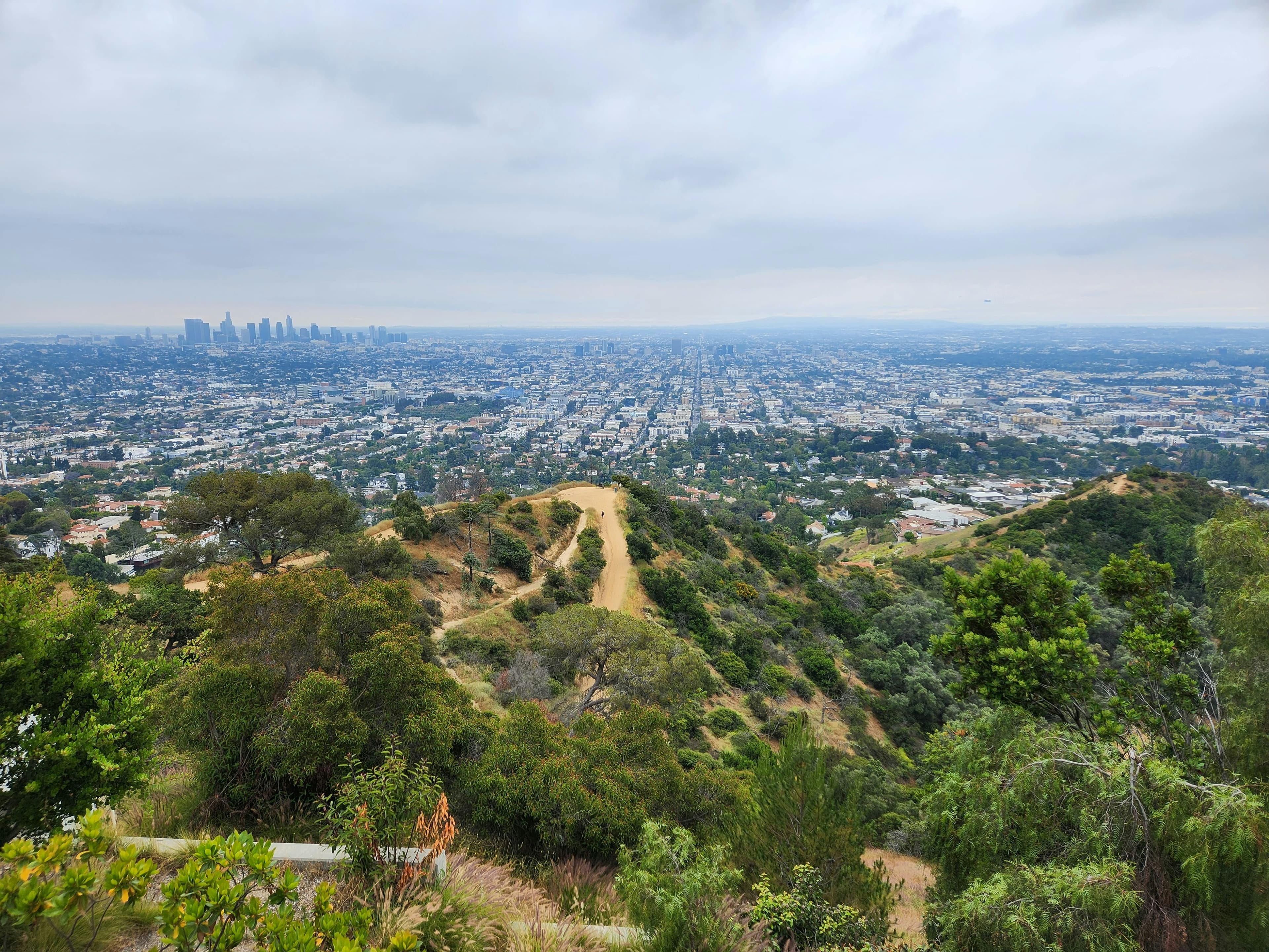 Runyon Canyon 2026: Off-Leash Rules, Parking, Hours & Trail Guide