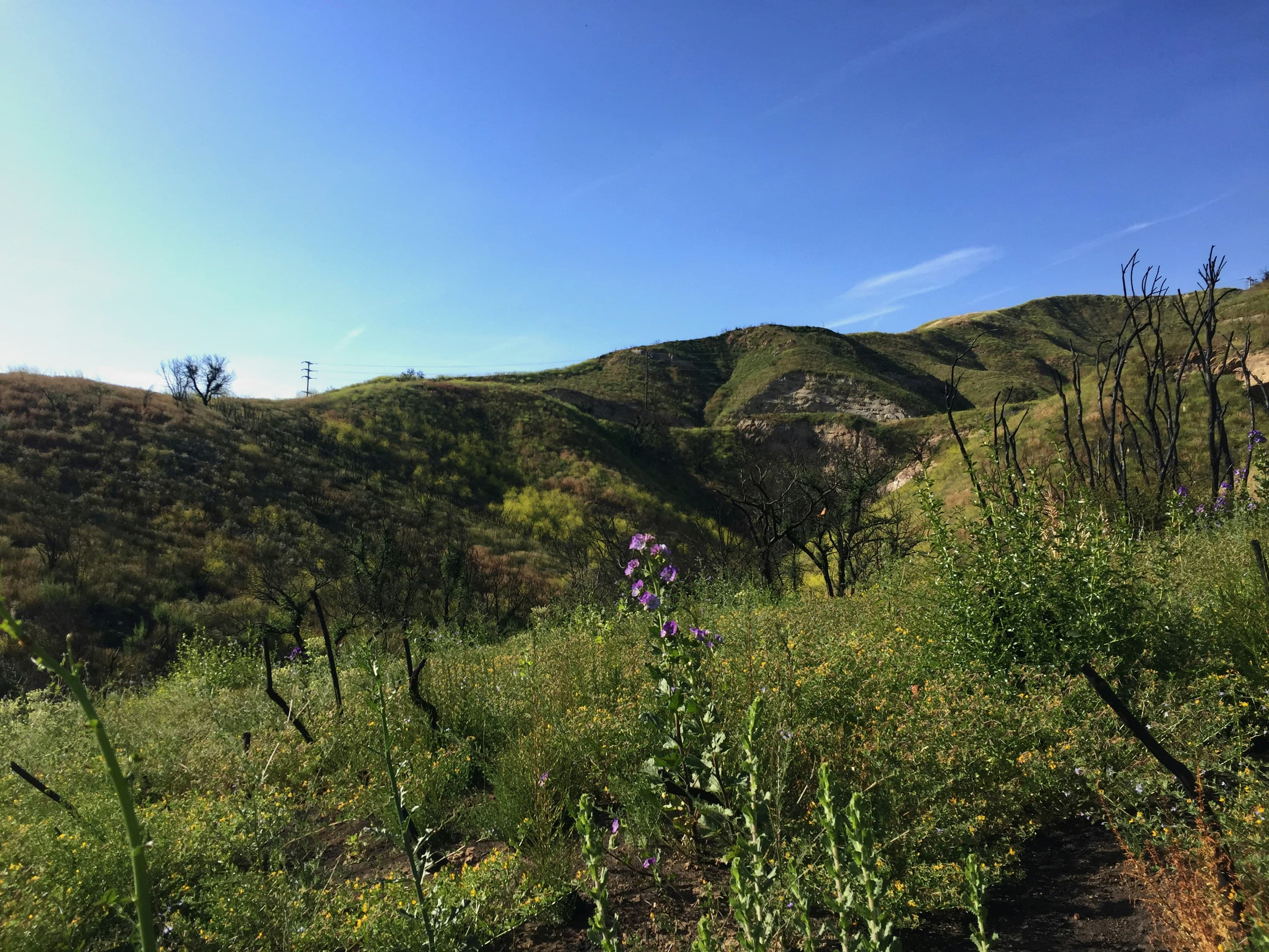 Will Rogers State Historic Park: Inspiration Point Hike Guide