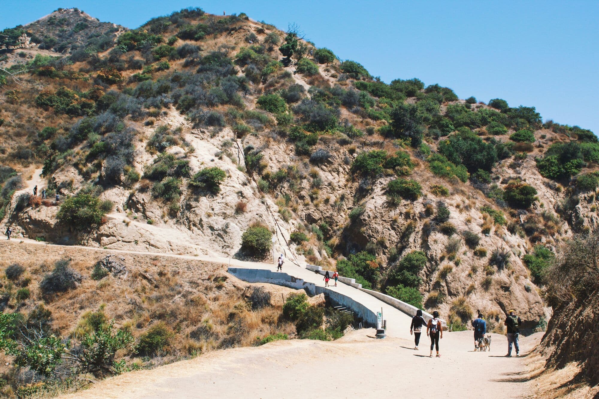 10 Best Hiking Groups in LA for Meeting People