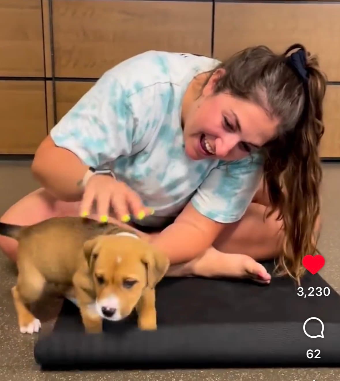 Puppy Yoga: Playa Vista