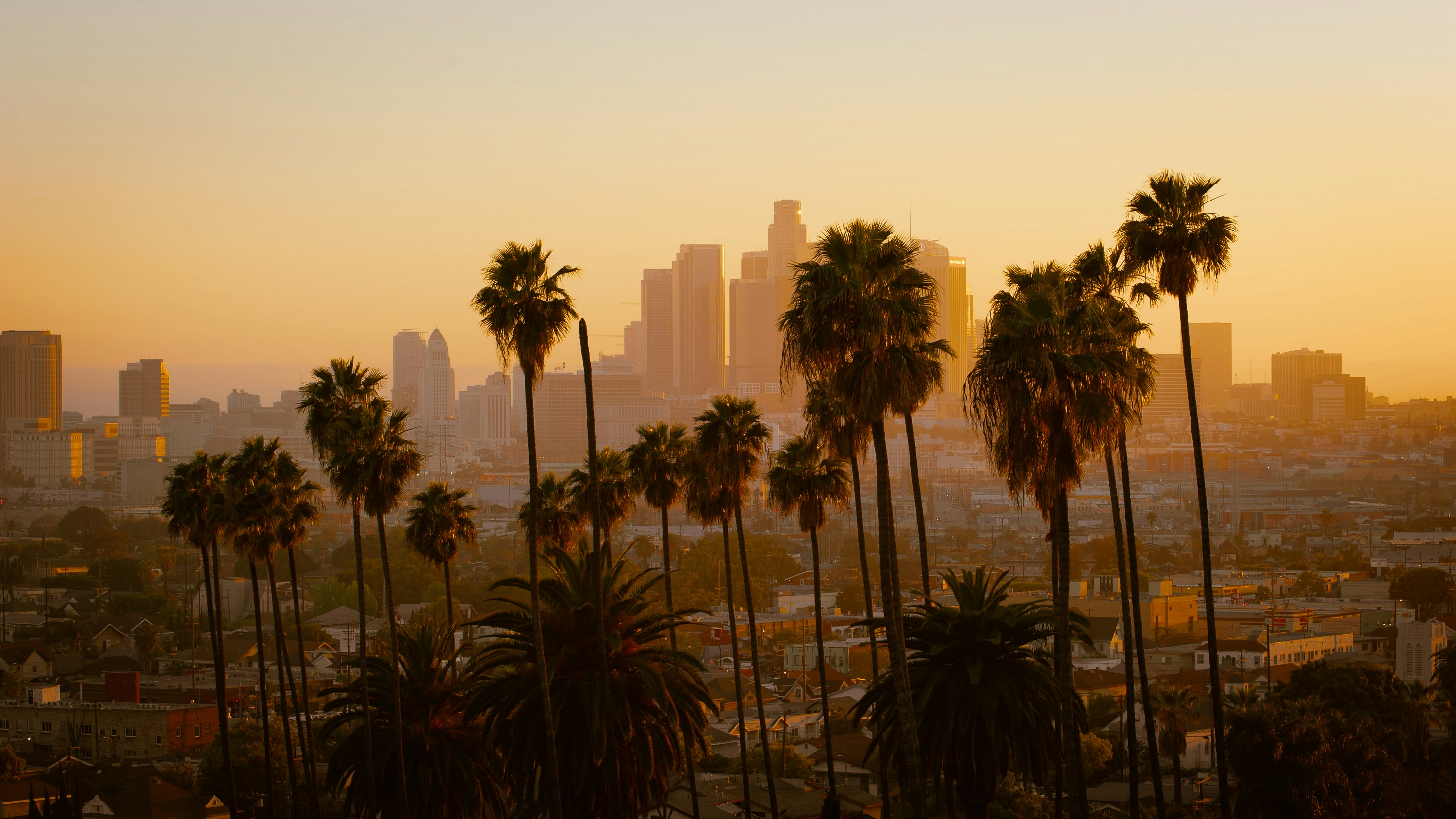 Los Angeles at golden hour